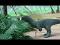 Noasaurus leali