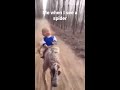 Baby Riding on Cheetah Meme 6