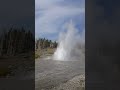 going to see the old faithful