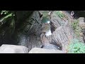 The Soupier Vanlife gorgeous views here at Watkins Glenn State Park hiking the Gorge Trail pt6