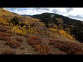 Changing of Season | Fall flow FPV