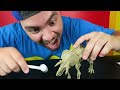 MOSTRANDO BRINQUEDOS DE DINOSSAURO !!! (DINO WORLD E T-REX)