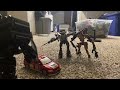 Transformers DOTM | Stop Motion Mexican Stand-Off