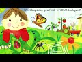 Backyard Bugs | Mr Storytime | Read Aloud Book