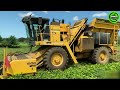 The Most Modern Agriculture Machines That Are At Another Level, How To Harvest Pineapples In Farm ▶2