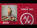 Arrested Youth - Family Tree (Official Audio)
