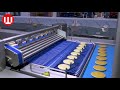 Biscuit Factory Process | How Biscuits Are Made In Factory