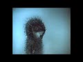 Meditation. Hedgehog in the Fog and Music from the world of Osho