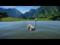 Jurassic World Evolution - Welcome to the Park