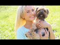 Yorkie Love: Mastering the Joy of Caring for Your Tiny Companion
