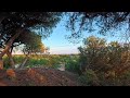 Sunset in the Dunes  🌅 25 Minutes Relaxing Nature Ambience