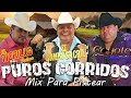El Tigrillo Palma, El Compa Sacra, El Coyote - Puros Corridos Mix Para Pistear
