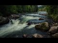 Rain and River Sounds Very Calming | Nature Sounds | for Relax, Healing and Meditation