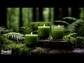 Spa Massage Music Relaxation, Peaceful Soothing Relaxing Meditation Music