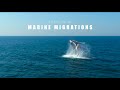 The Great Marine Migrations