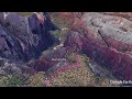 Hike Observation Point Zion (East Mesa Trail)