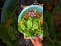 Healthy Sweet potato and spinach Salad for Weightloss