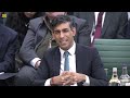 MPs totally rattle Rishi Sunak with tough questions at liaison committee
