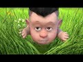 Boonie Bears 🐻🐻 Baby Birdie 🏆 FUNNY BEAR CARTOON 🏆 Full Episode in HD