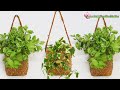 Make Beautiful Flower Baskets From Discarded Plastic Bottles | Hanging Plants Ideas