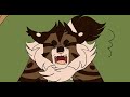 Funny Warrior Cats Memes Compilation