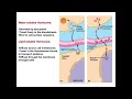 Анатомия и физиология - Лекция 72 - Обзор эндокринной системы