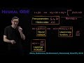 Neural ODEs (NODEs) [Physics Informed Machine Learning]