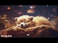 3 Hours Calming Sleep Music 💖 Stress Relief Music, Insomnia, Relaxing Sleep Music ♬ Dog