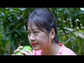 90 Days Harvesting Of PLUMS, MANGOES, Dragon Fruit || Gardening - Daily life|| Lý Triệu Ca