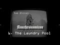The Laundry Pool (Original song) - Sam Wiccan