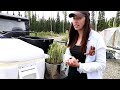 Our 8,000 SQFT Alaska Garden | Building Hot Beds + Planting Berries and Trees