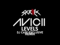 Avicii- Levels (Skrillex Remix) RARE UNRELEASED EUPHORIC REMIX 2012 HD