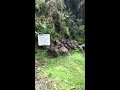 NZ Auckland Waitakere Upper Huia Dam Walk