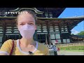 【東大寺観光がずっと楽しくなる！】歴史好き外国人が奈良の東大寺の面白さに迫ります！