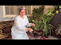 Cooking foods in nature : pleasant and relaxing cooking routine in the village