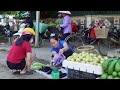 Harvesting Eggplants and Gourds Go to market sell - Daily Life | Lý Tiểu Anh