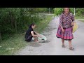 Harvesting Mussels Underneath The Mud Go to market sell - Daily life | Lý Tiểu Anh