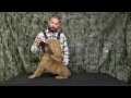Malinois Puppy Training Lesson One