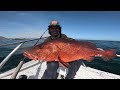 Señuelo Gigante Produce Capturas Gigantes! | Pesca en Alta Mar!