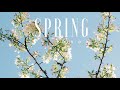 #54 Spring (Official)