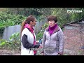 東張西望｜荃灣川龍村居民長期囤積垃圾雜物！嚴重的衛生問題如何解決？｜TVBUSA｜民生