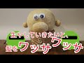 今日からコイツを育てます【のびのびーくん】