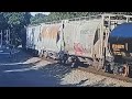 N&W steam era covered hoppers on Virtual Railfan camera