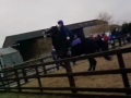 Willow Farm Equestrian Centre - Bretford