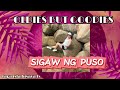 OPM TAGALOG OLD SONGS SELECTION #viral #opmlovesong #lovesong
