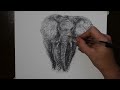 How to Draw a Realistic Elephant with a Biro Pen
