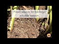 How to Manage Soil Nitrogen and Carbon Sequestration
