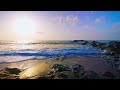 🌳4K Piano Healing Music that relaxes the mind / Resting music, relieving stress