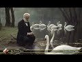 Tchaikovsky: Swan Lake (1 hour NO ADS) - Swan Theme | Most Famous Classical Pieces & AI Art | 432hz