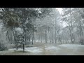 RAIN SNOW • Winter Relaxation Music - Peaceful Relaxing Music - Nature 4k Video UltraHD